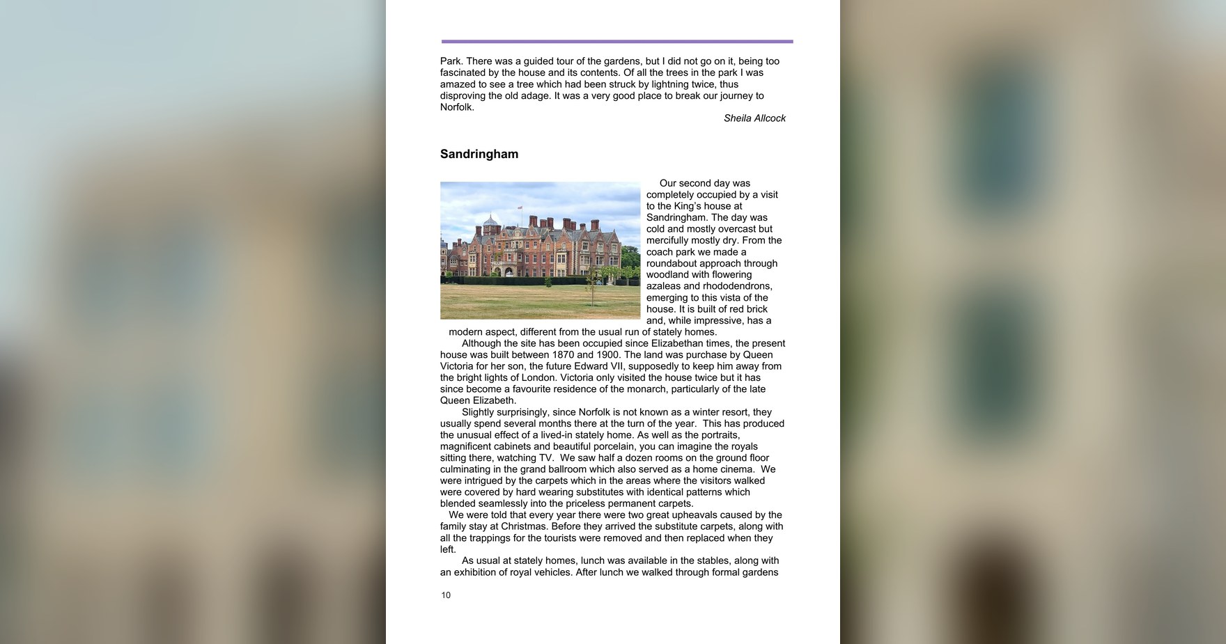 newsletter-73-12-banner-page-12.jpg