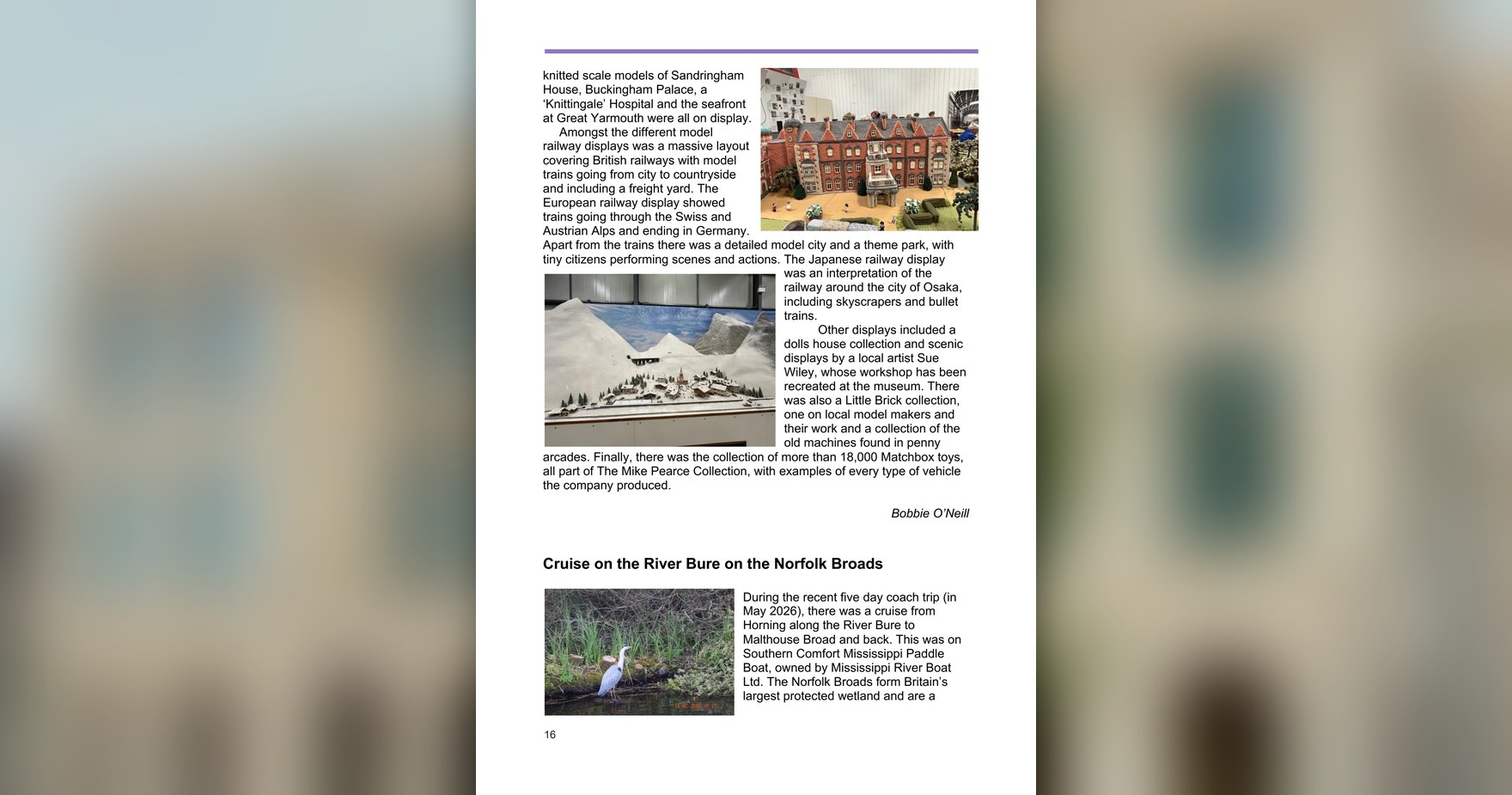 newsletter-73-18-banner-page-18.jpg