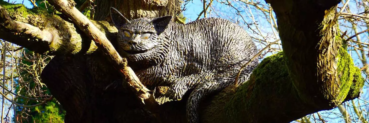 cheshire cat