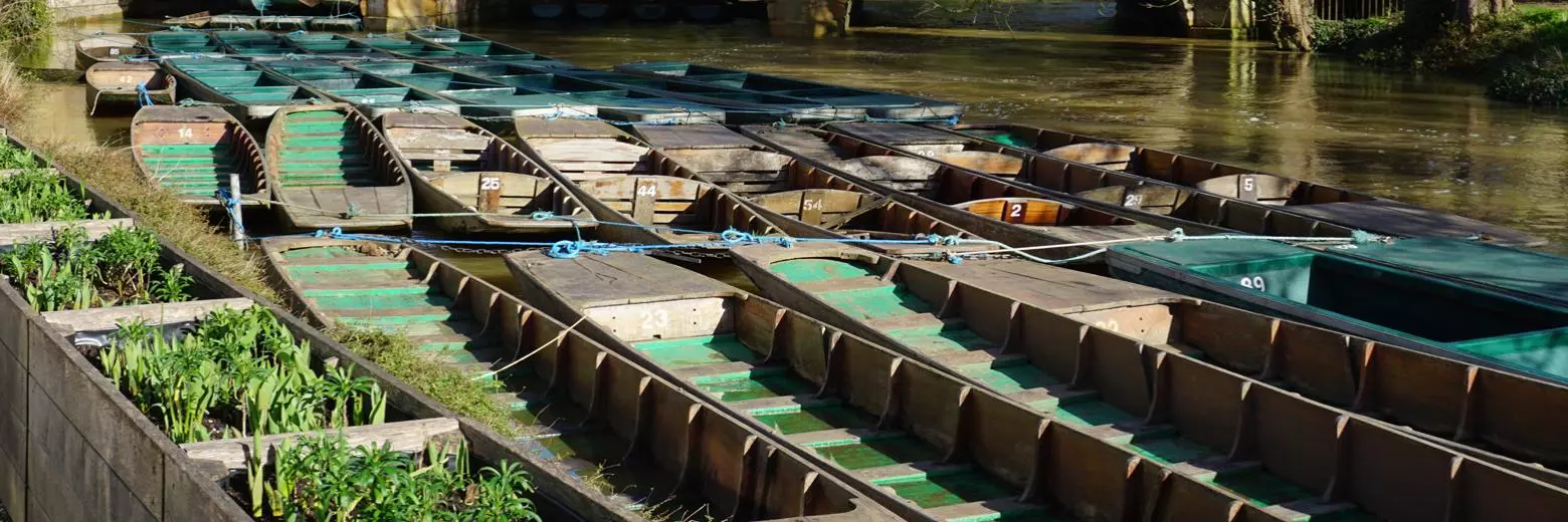 punts